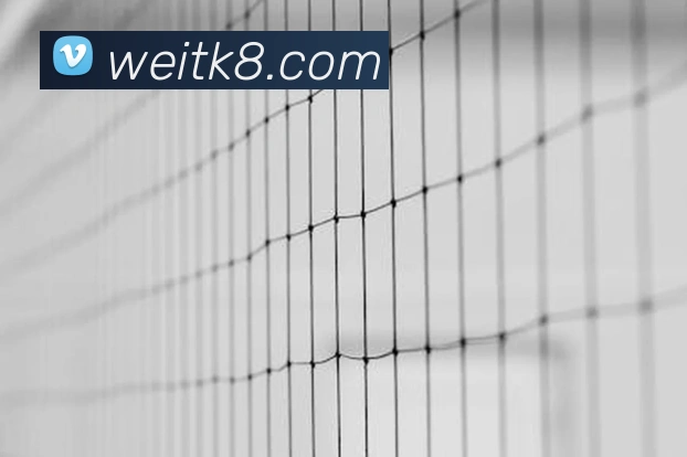 凯发K8服务体系